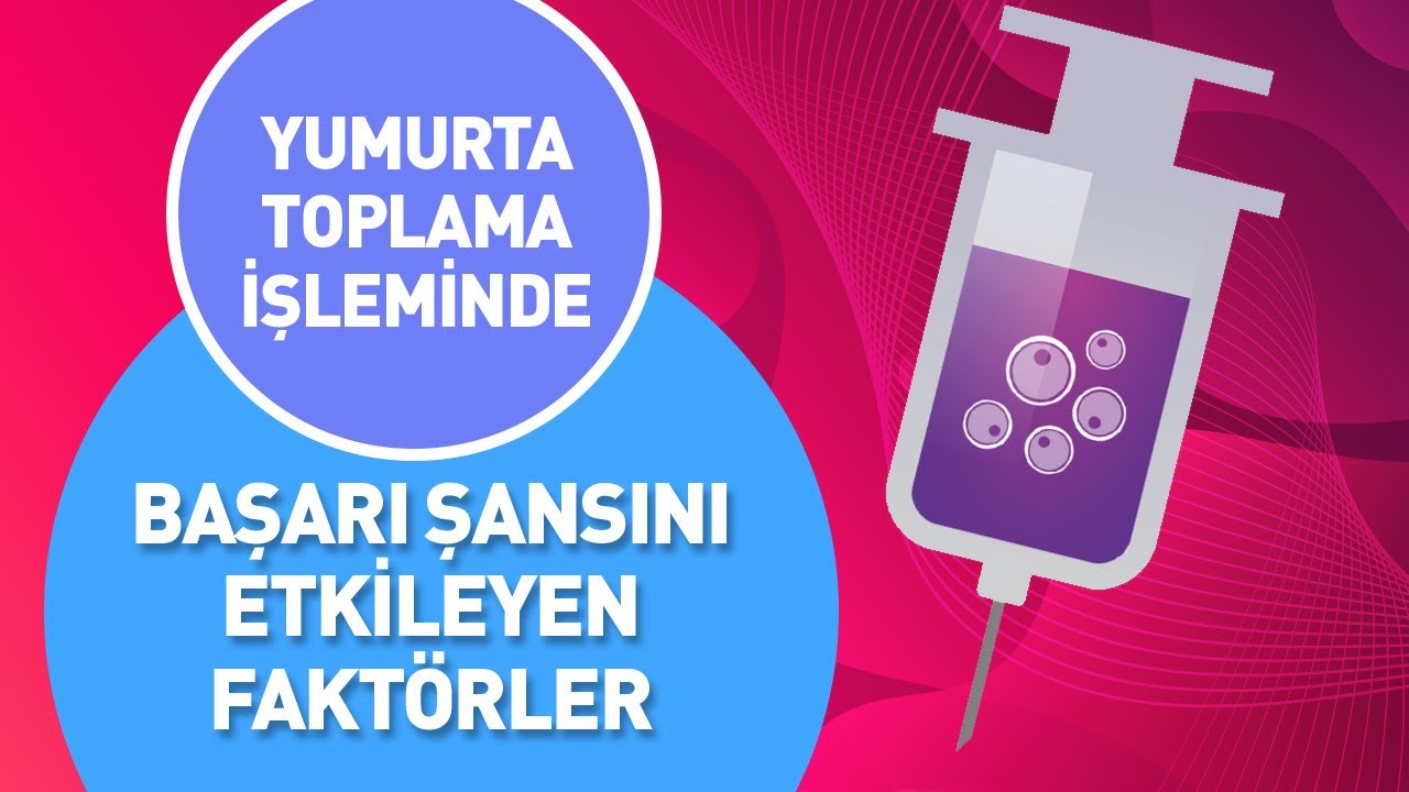 Yumurta Toplama İşleminde Toplanan Yumurta Sayısına Göre Başarı Şansı Artar Mı? E 2 Kaç Olmalı?