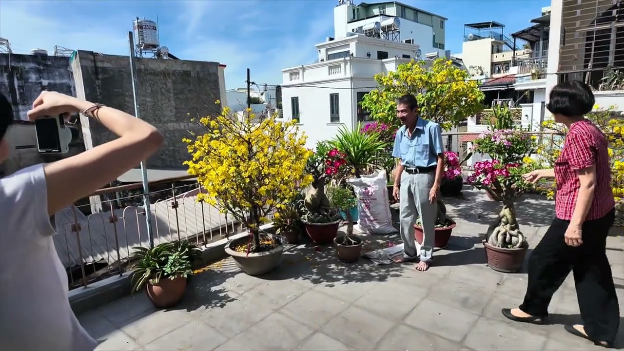 Tết về hoa nở rộ ,beautiful flowers on the rooftop 