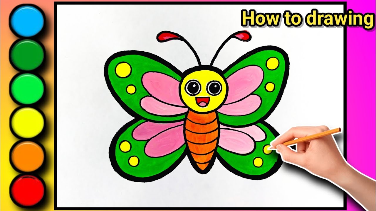 How to draw colour butterfly drawing step by step drawing for kids.