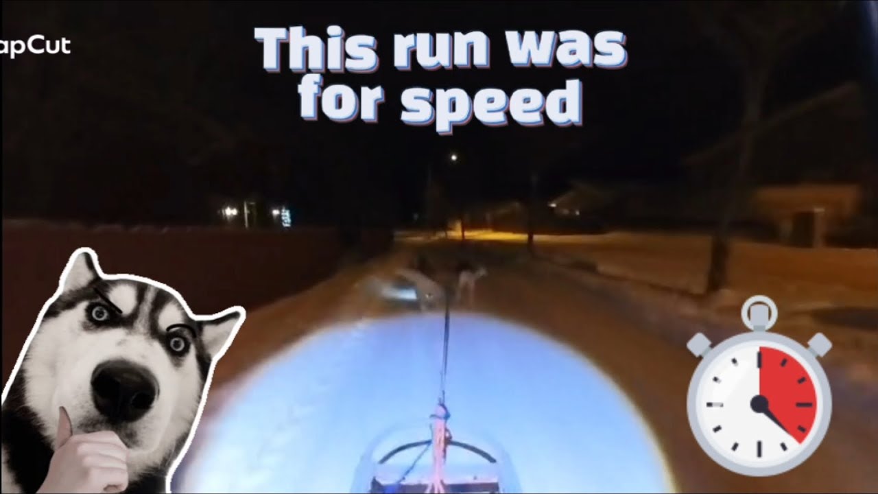 Speed training with Heda and Havu