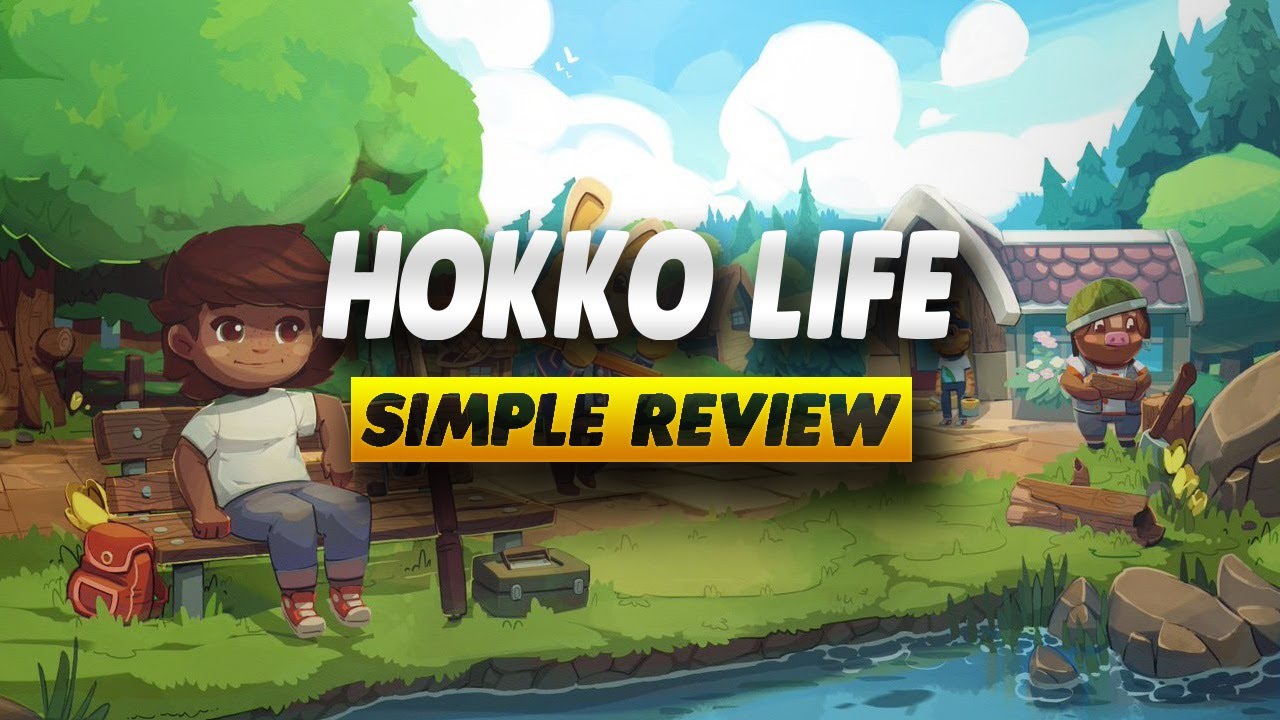 Обзор Hokko Life &mdash; простой обзор