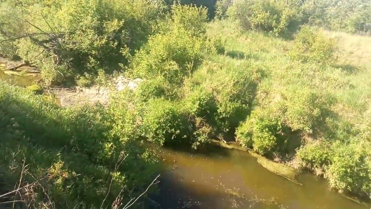 034.Щигровские согры