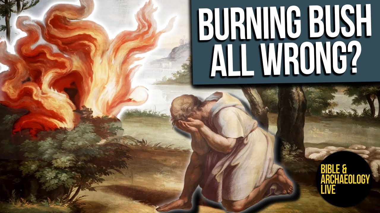 Burning Bush or Burning Mount Sinai? | Bible & Archaeology LIVE!