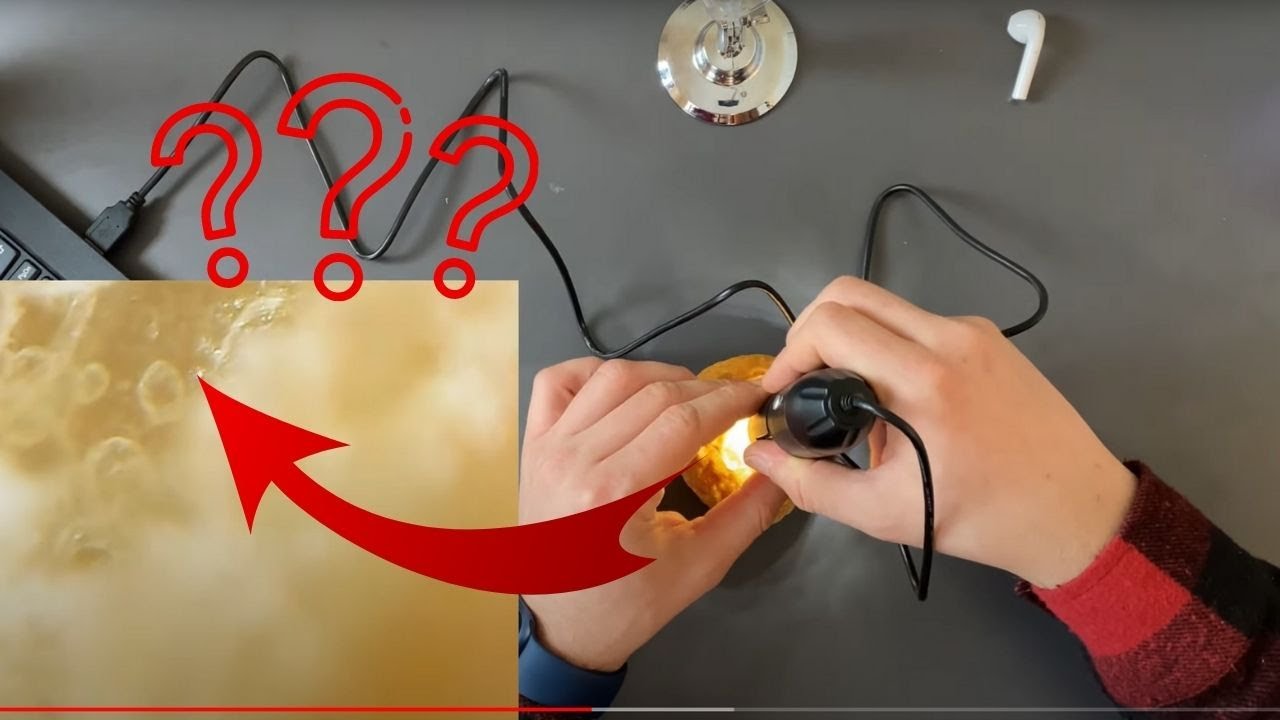 İÇİNDEM GEÇTİM (1600X Hayvan Gibi Zoom Yapan USB Dijital Mikroskop! Her şeyin içinden geçtim)