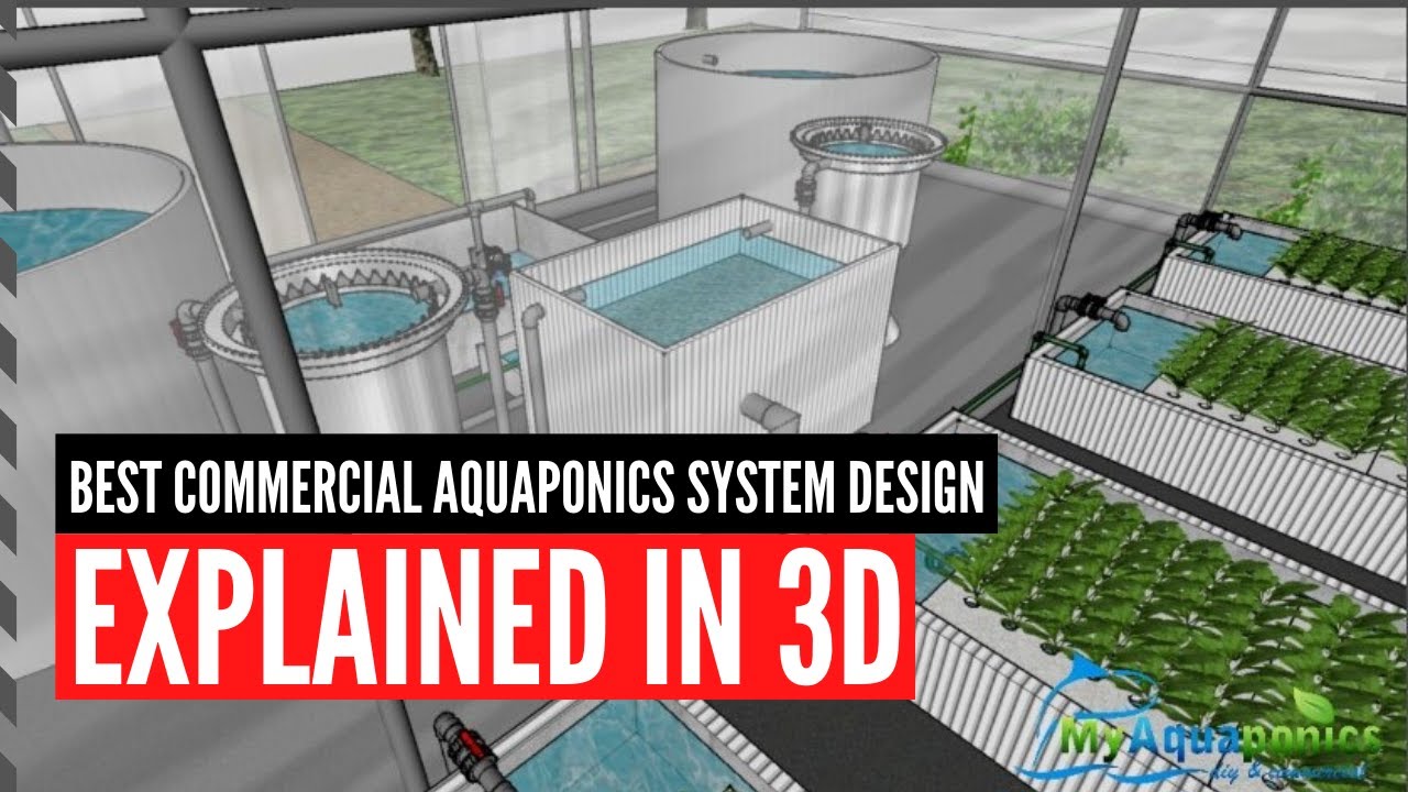 Лучший проект коммерческой аквапонической системы в 3D: 2020