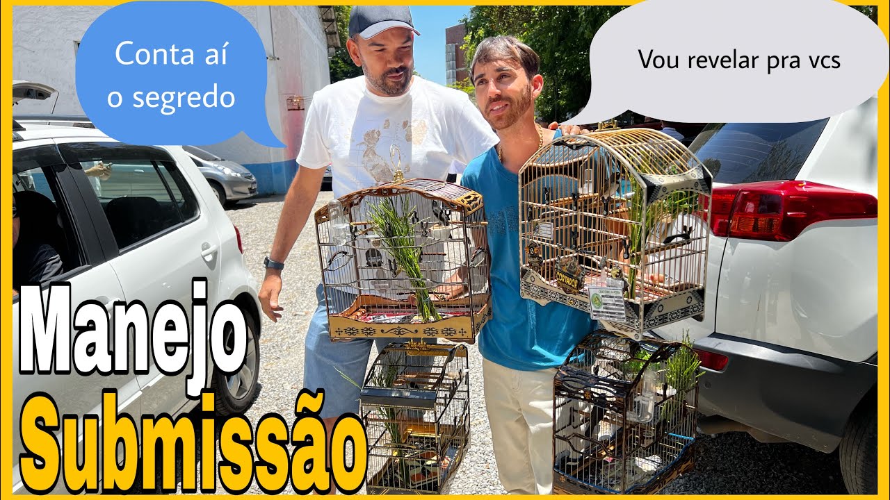 COLEIRO NO MANEJO SUBMISS&Atilde;O COMO PUXAR AO TORNEIO RODA