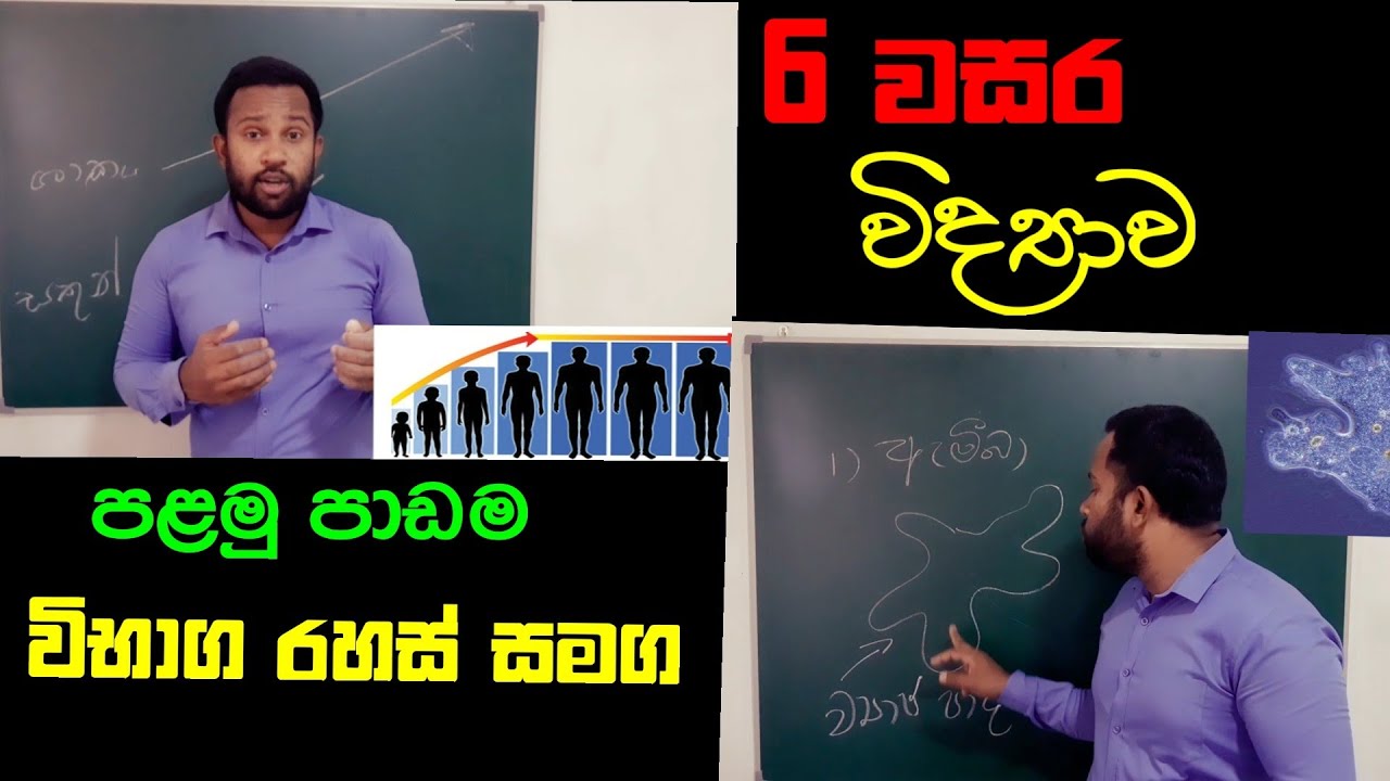 Grade 6 Science lessons |Sinhala medium Episode 01 ජෛව ලෝකයේ අසිරිය Science channel Bro|2021