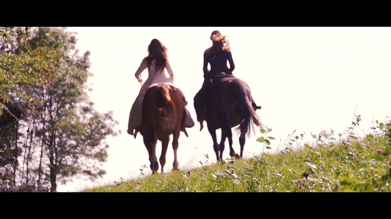 Bande annonce du film LES CHEVAUX D'AKITA