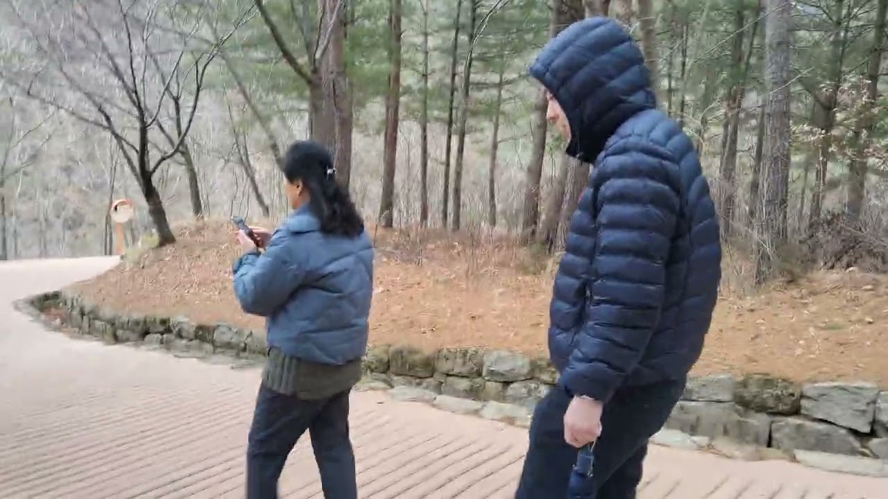 2026 (울진) 불영사 가는 맑은 길 (청정구역 숲속 고터)