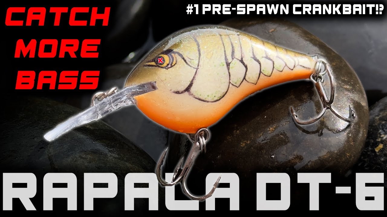 Does a Rapala DT-6 REALLY Dive 6 FEET?!