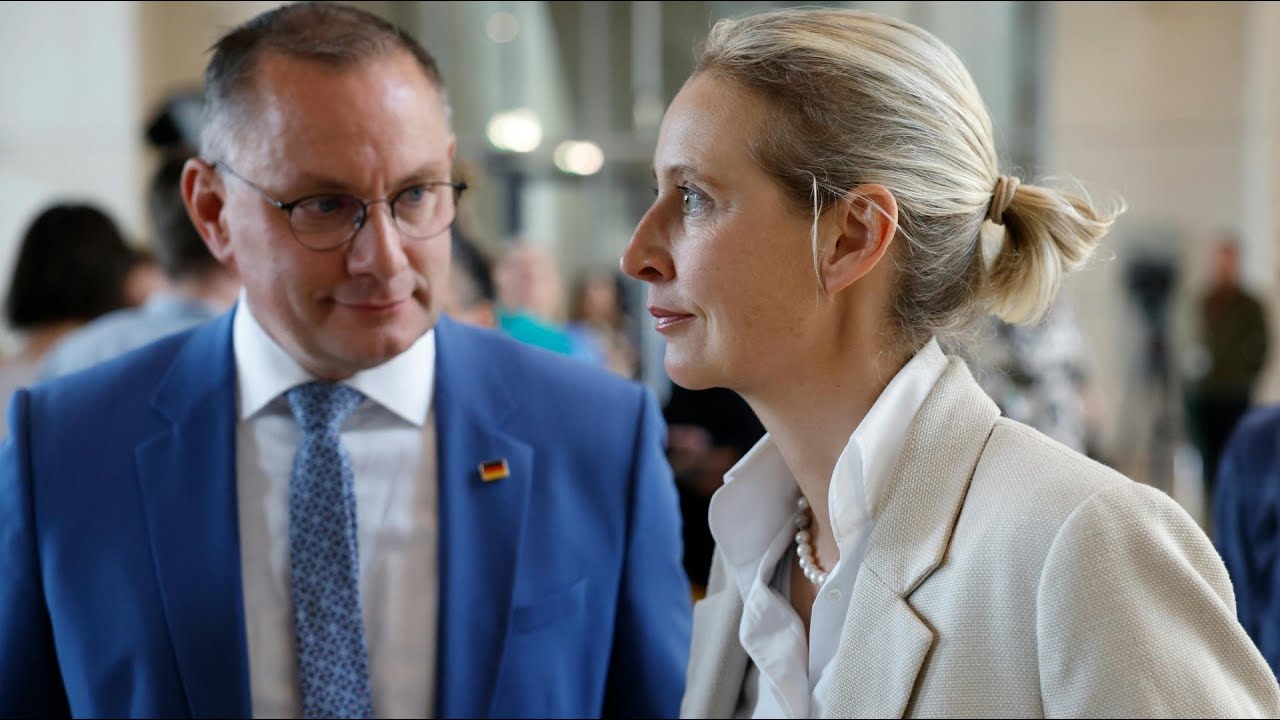 AfD-Spitze uneins &uuml;ber Russlandreise von Parteikollegen