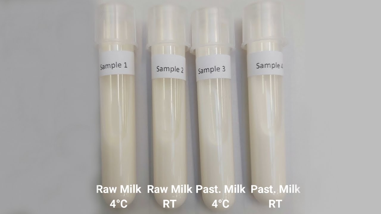Level 3 Microbiology | Methylene blue reductase test