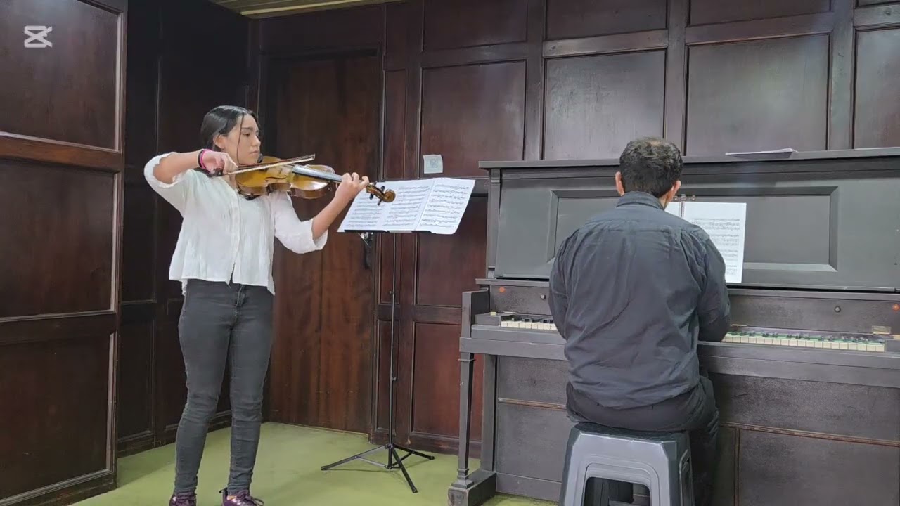 #2 Seitz Concerto Susuki 4 