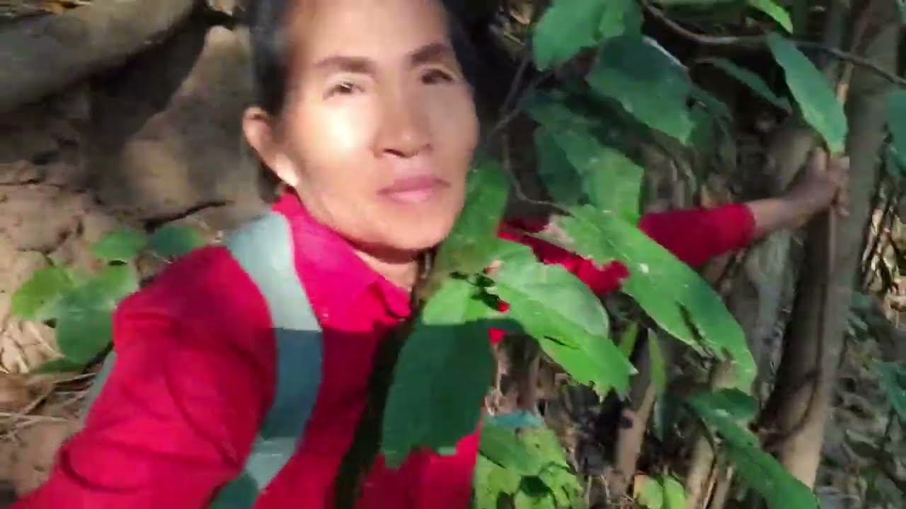 หน้าผาสูงชันจะลงได้ไหม