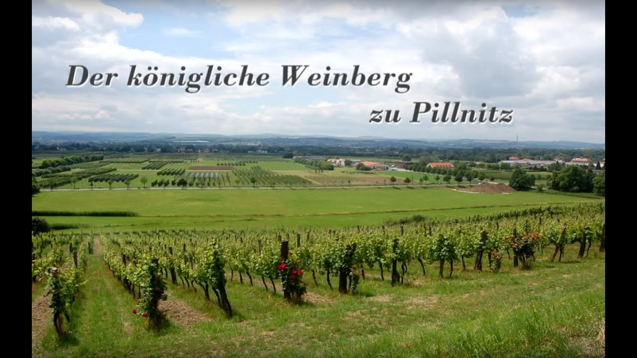 Königlicher Weinberg Pillnitz