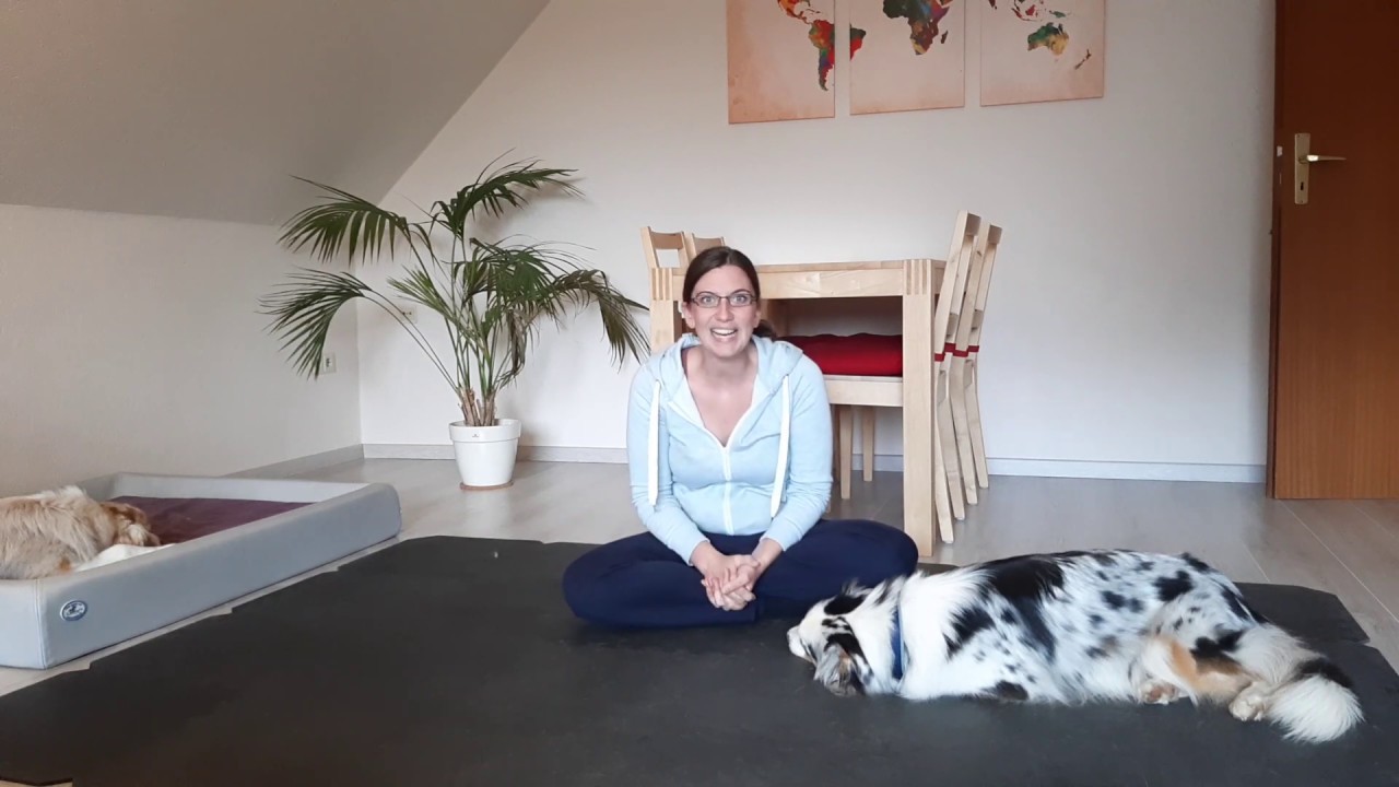 Kind und Hund: 10 Tipps für ein entspanntes Zusammenleben von Kindern und Hunden