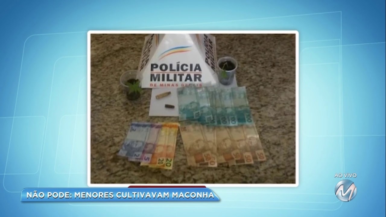 Menores s&atilde;o flagrados plantando maconha em Parque Municipal de Montes Claros