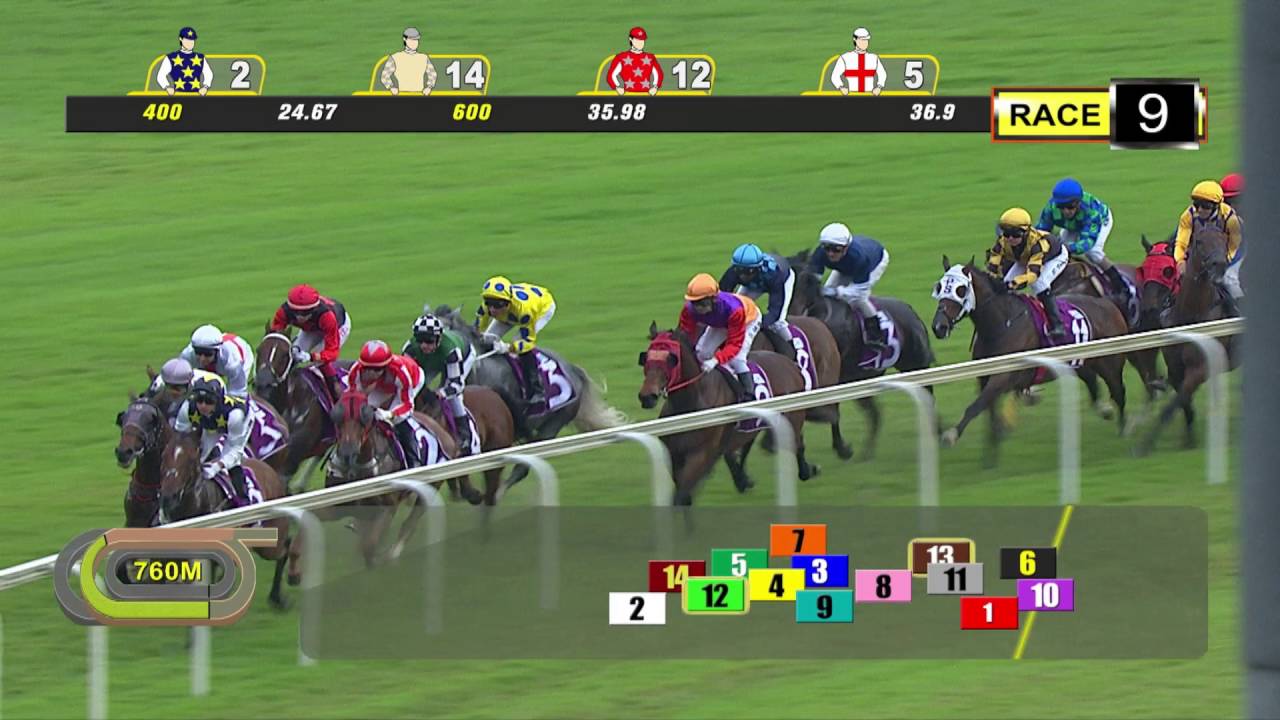 Saas Fee Stakes 2016 (Spanish Bay)