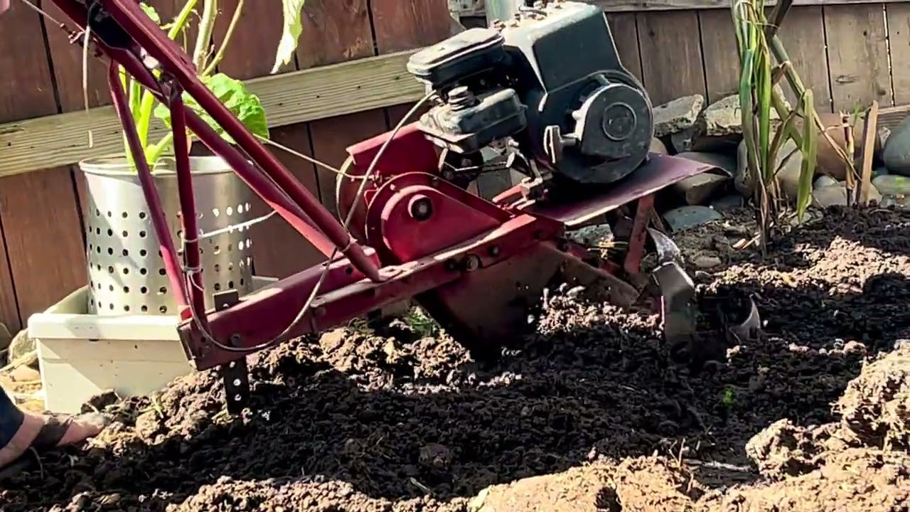 It’s the best time to starting your own garden now: my garden is completely done today 
