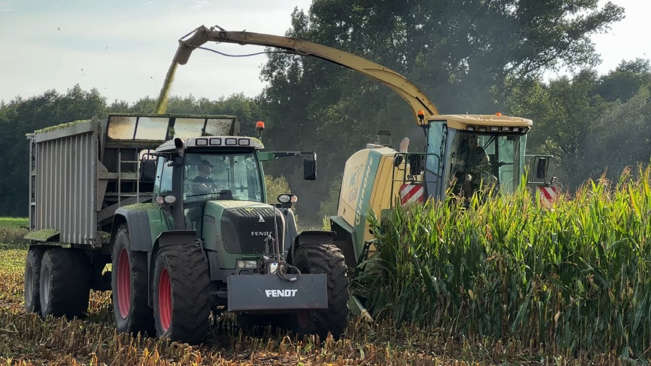 🇵🇱 🔥Kukurydza Na Kiszonkę 2025 🔥Krone w Akcji🔥 Dymiący Fendt🔥UR-Marciniak 🔥Fendt 🔥Krone 🔥