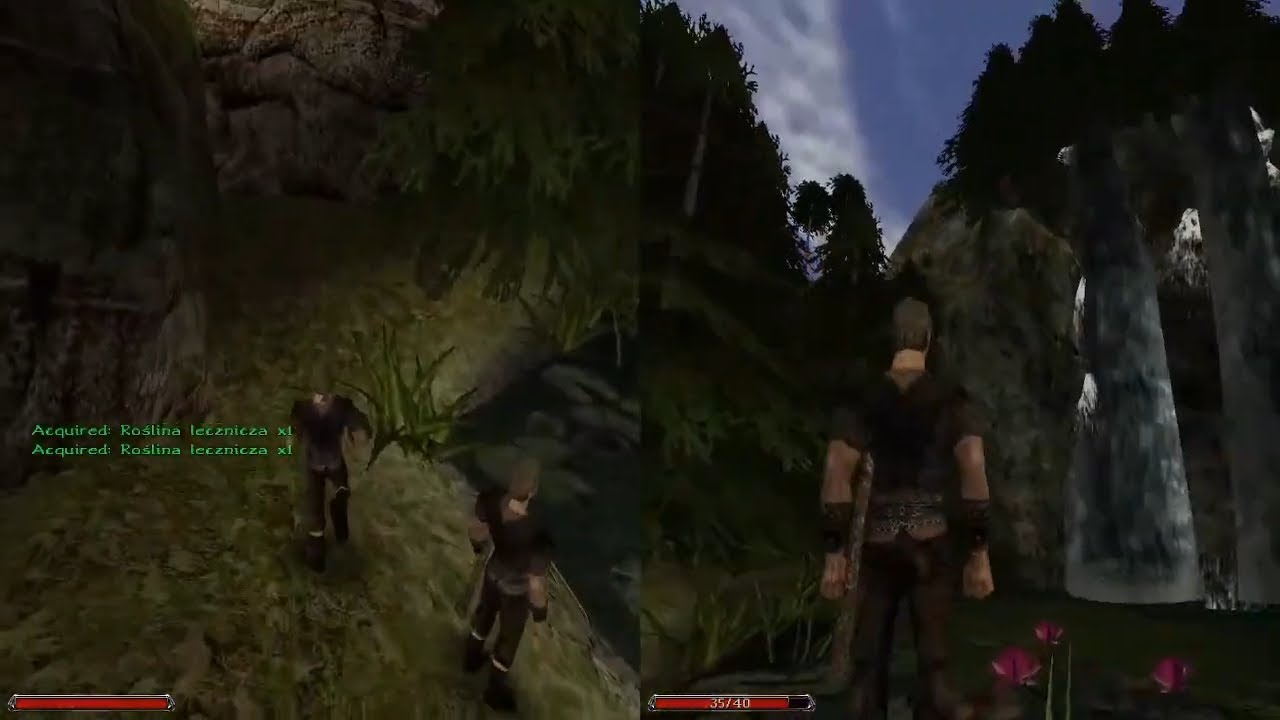 [1] Gothic multiplayer in Splitscreen