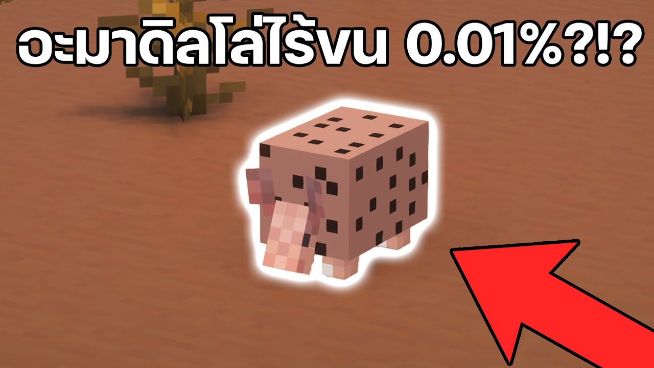 39 ทฤษฎี(โคตรแปลก!!)ที่คุณอาจจะยังไม่รู้ใน Minecraft