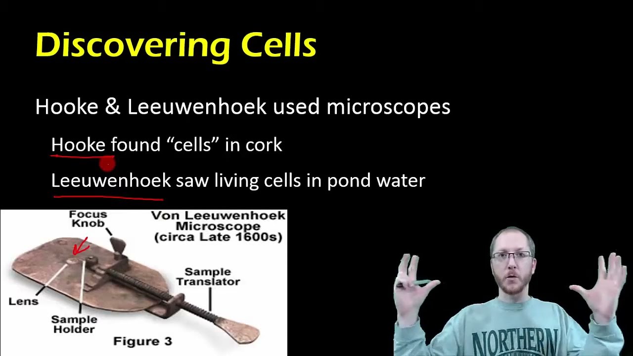 Biology:  Microscopes, Cell Theory & Cell Types