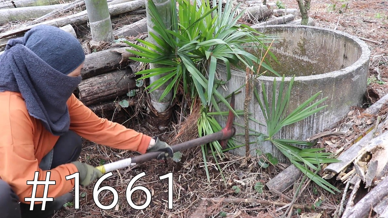 3月中間まとめ｜田舎暮らしの環境整備のリアルは地道で地味｜基本的に人力で作業したい主婦は辛い事も楽しむ事で継続できるよ
