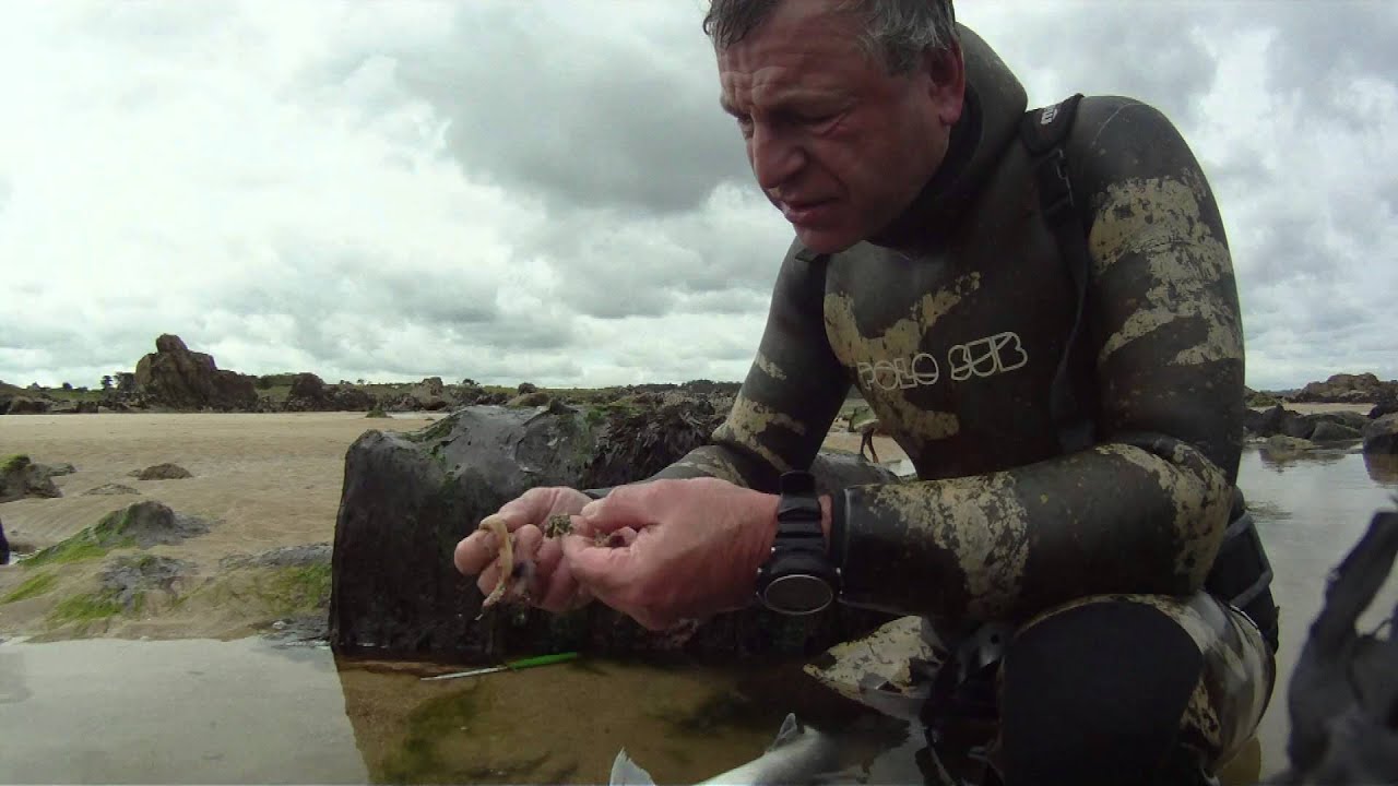 Chasse sous marine Bretagne Nord Cap Frehel vidéo pédagogique PARTIE 2  30 min