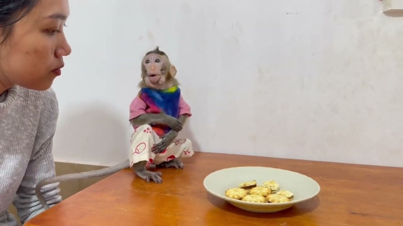 Nazztii Koy Tiny sit calm when mom adv..cee her in lunch