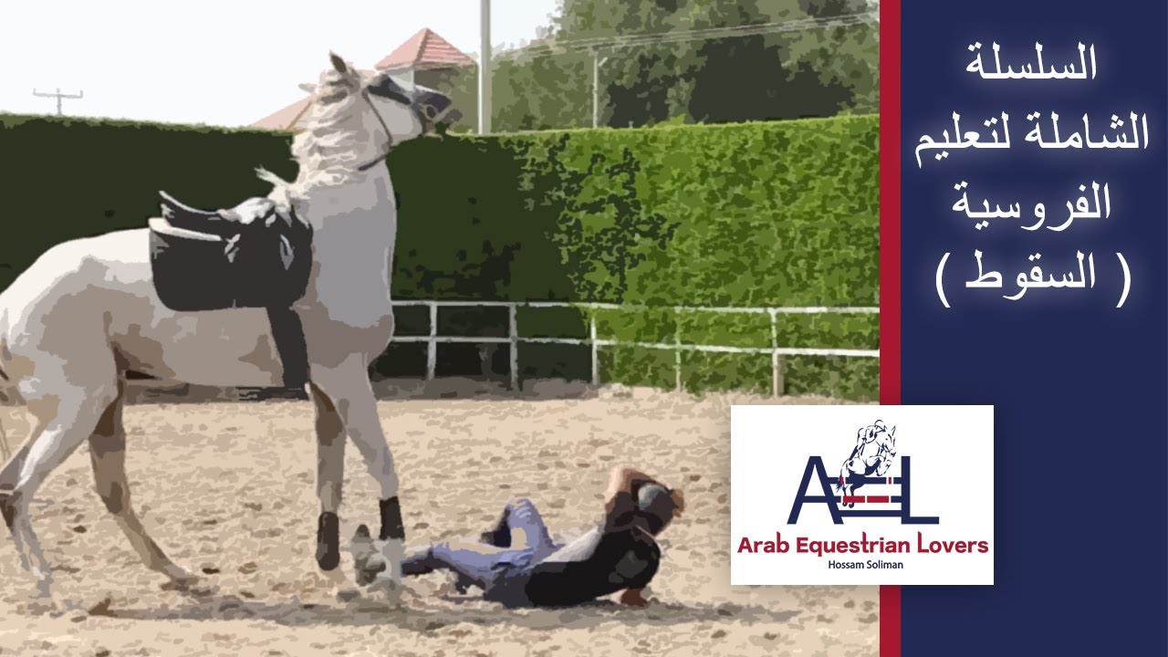 أسباب السقوط من فوق ظهر الحصان - السقوط من على الخيل - اساسيات ركوب الخيل