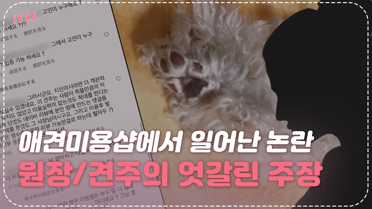'애견미용샵에서 벌어진 논란', 견주와 원장의 엇갈린 주장 | 일요시사
