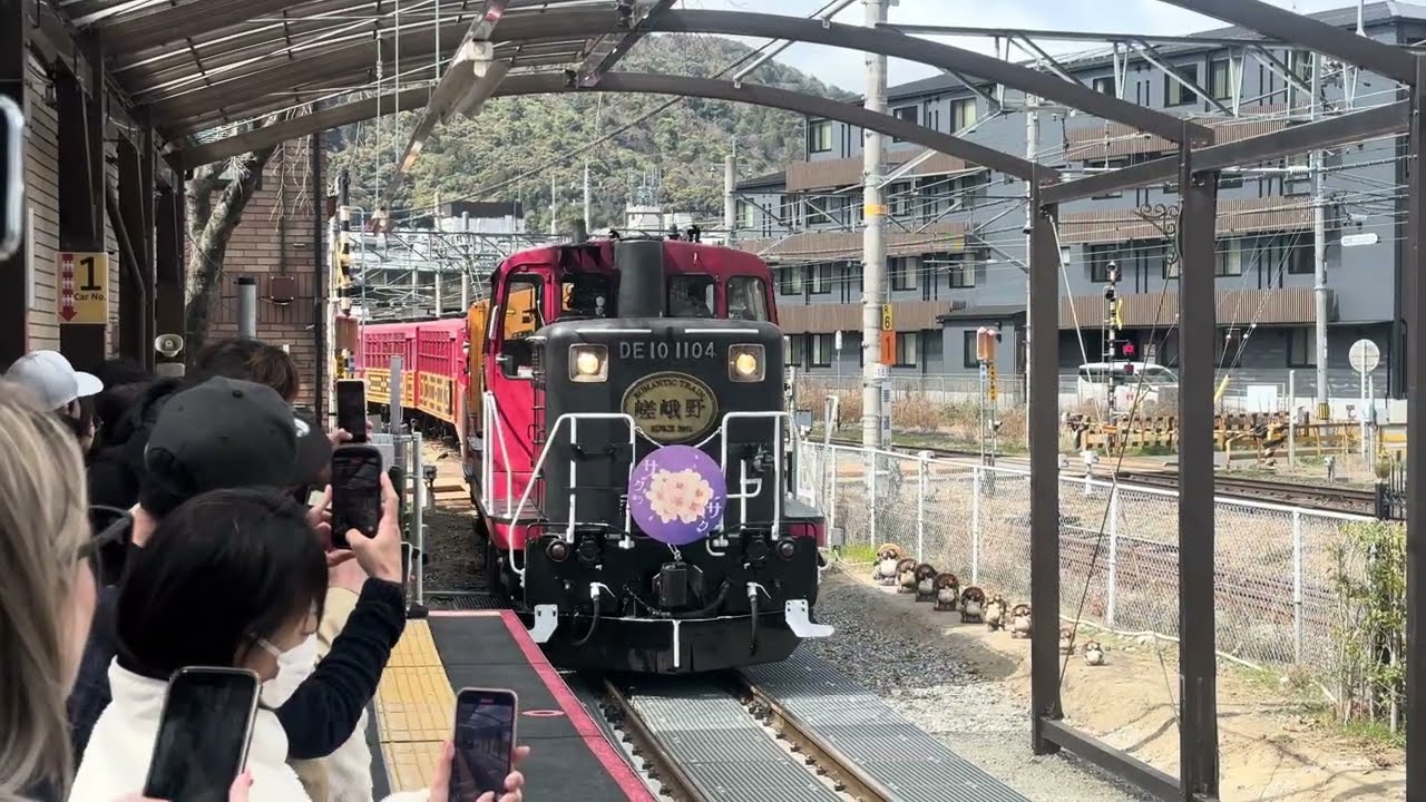 嵯峨嵐山トロッコ列車嵯峨駅入線DE10形DE10−1104ディーゼル+トキ25000形SK300−1【サクラサクヘッドマーク】