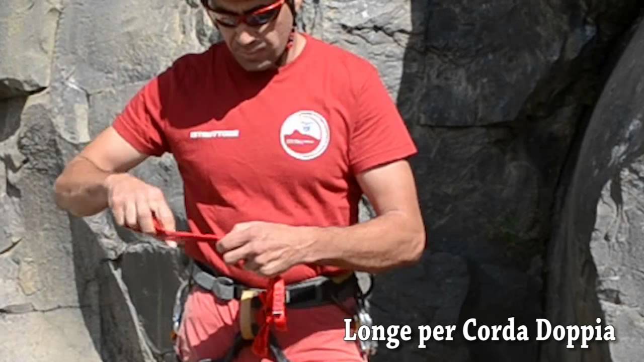 Nodo di chiusura della longe (bulino)