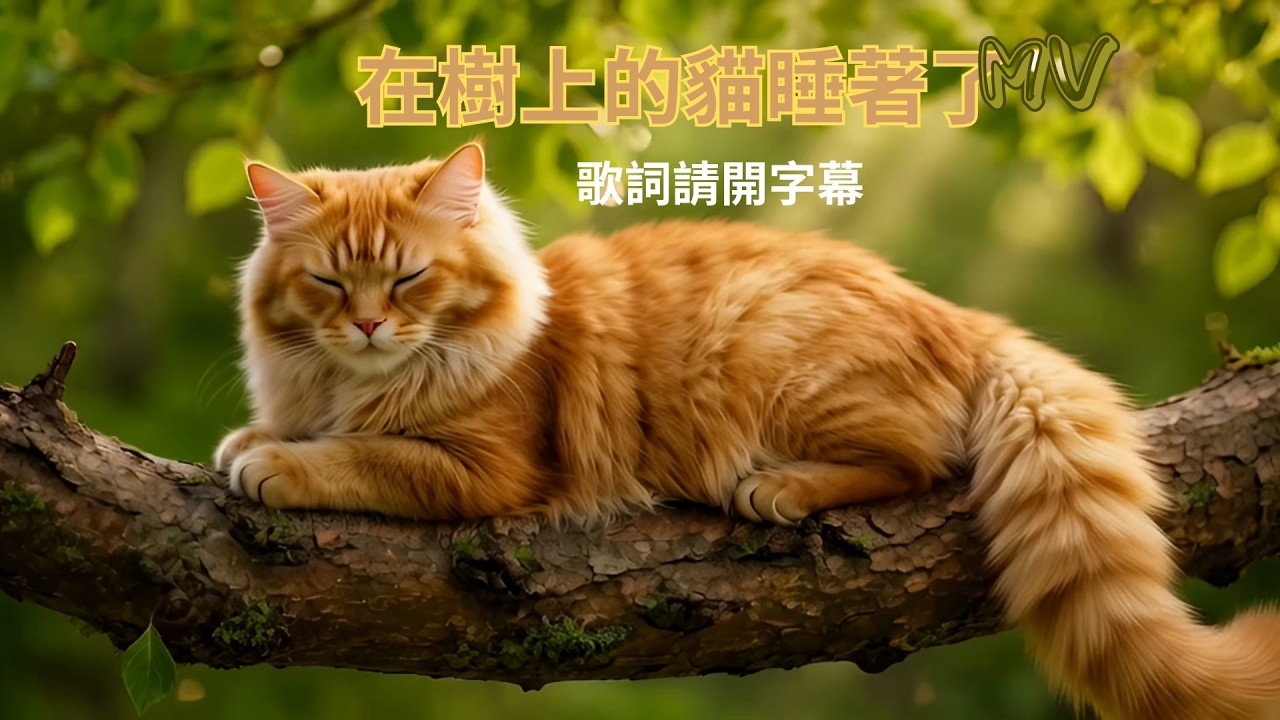 《在樹上的貓睡著了》MV《The cat asleep in the tree》 #歌詞請開字幕 #貓咪MV #療癒歌曲  #背景音樂 #睡前歌曲 #小清新 #音樂詩 #可愛 #夢境 #funny