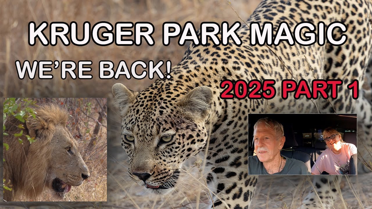 KRUGER MAGIC АВГУСТ-СЕНТ 2025 ЧАСТЬ 1
