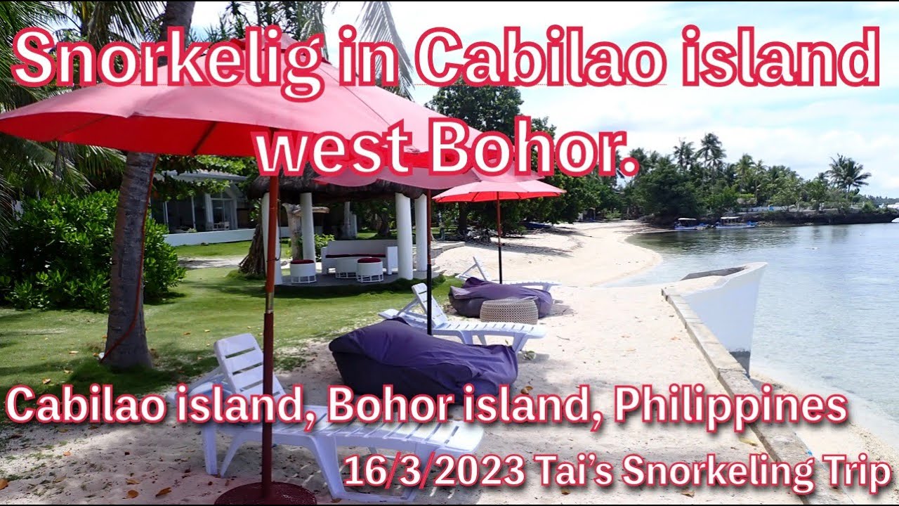 【#78 Tai&rsquo;s Snorkeling Trip 】Snorkeling in Cabilao island, Bohol island, Philippines