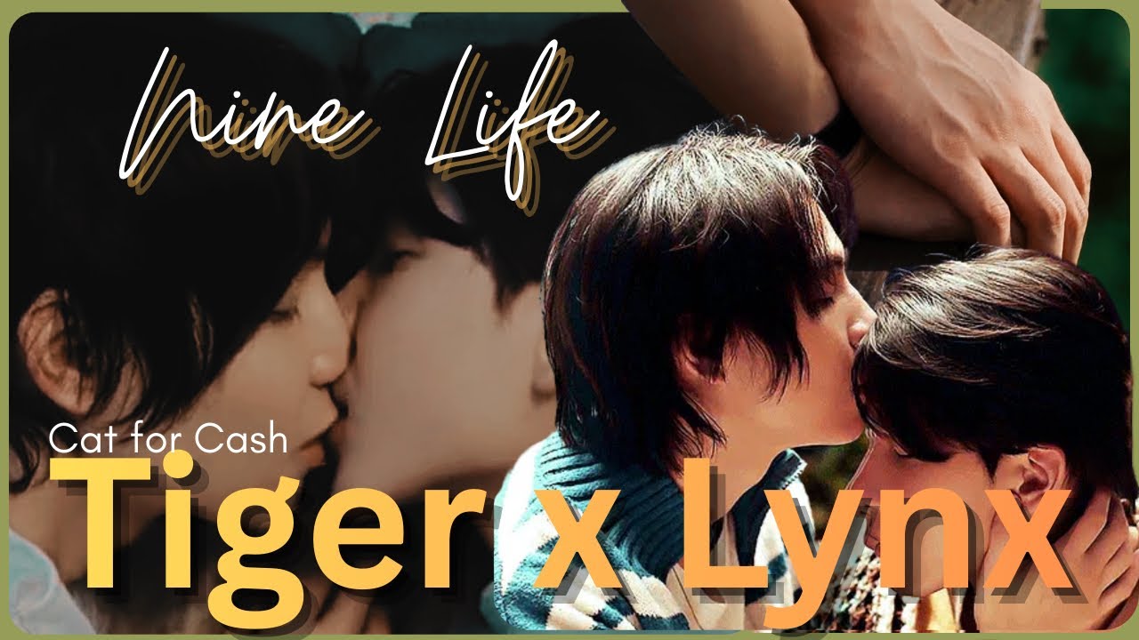 Tiger & Lynx // NINE LIFE // Cat for Cash // BL
