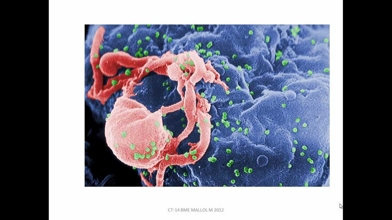 BIOLOGIA ME - Microbiología II: VIH y SIDA
