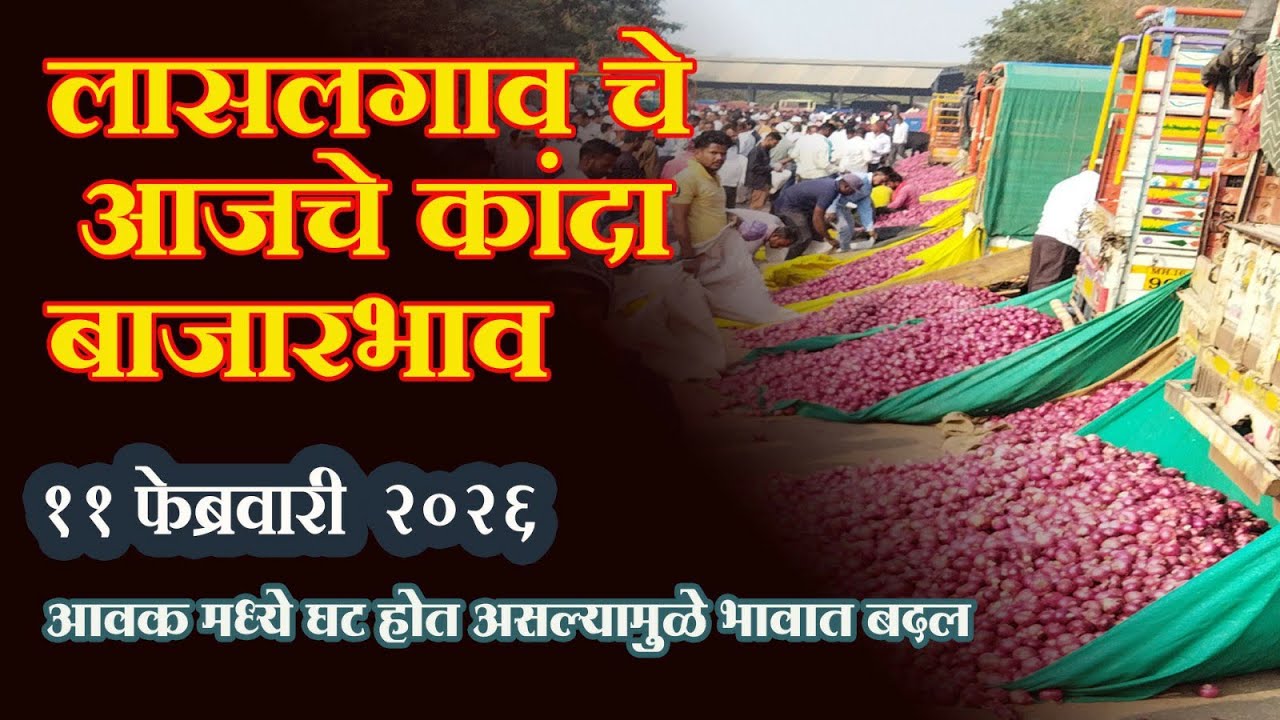 लासलगाव बाजार समिती आजचे कांदा बाजारभाव Lasalgaon Onion Market Rate Today 11 फेब्रुवारी 2026