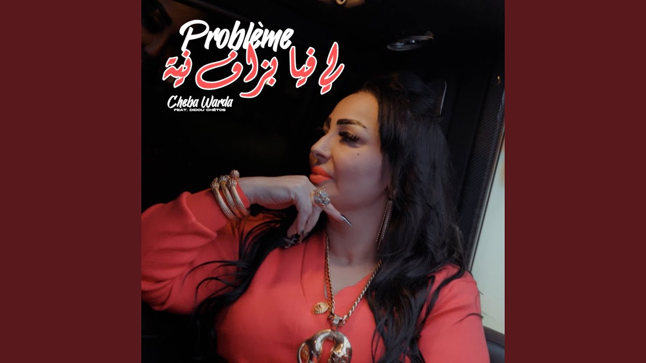 Problème Li Fiya Bezaf Niya (feat. Didou Chétos)