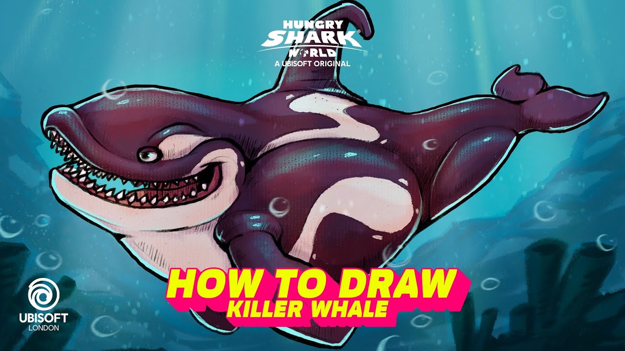 Hungry Shark | How to Draw Killer Whale