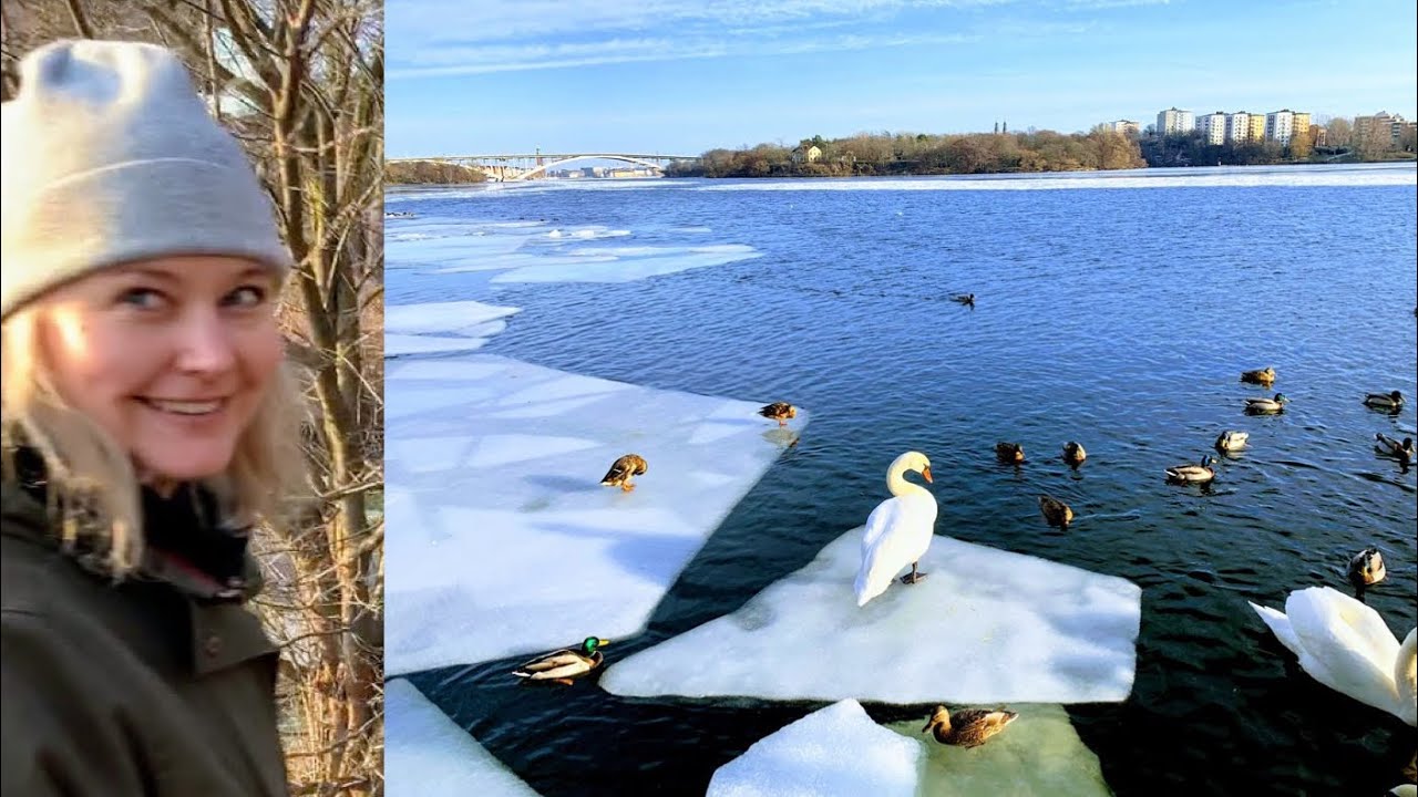 Stockholm Walks: Lilla Essingen in February