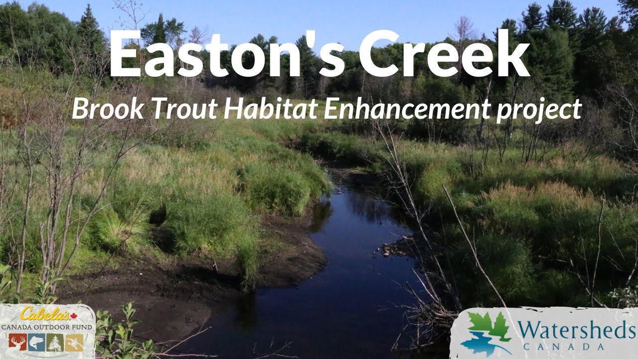 Easton's Creek Brook Trout Habitat Enhancement Project - Watersheds Canada