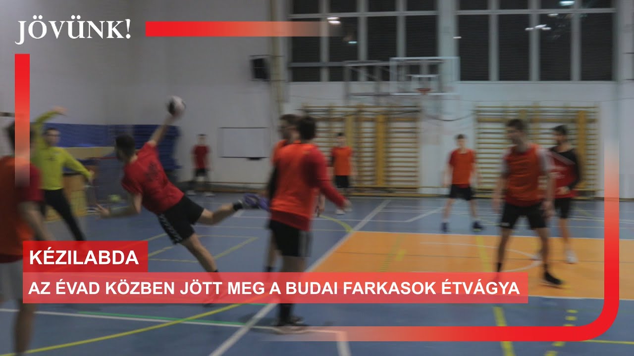 Az évad közben jött meg a Budai Farkasok étvágya 🏐 KÉZILABDA