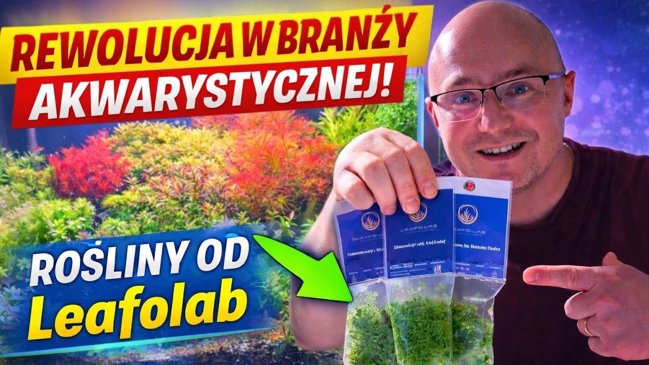 REWOLUCJA w akwarystyce?! 🌿 Poznaj rośliny do akwarium od Leafolab