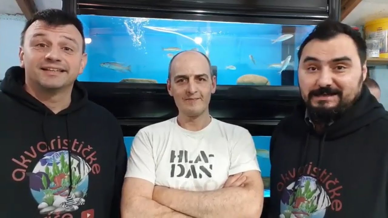 Akvarističke priče sez.2 ep.6  - 