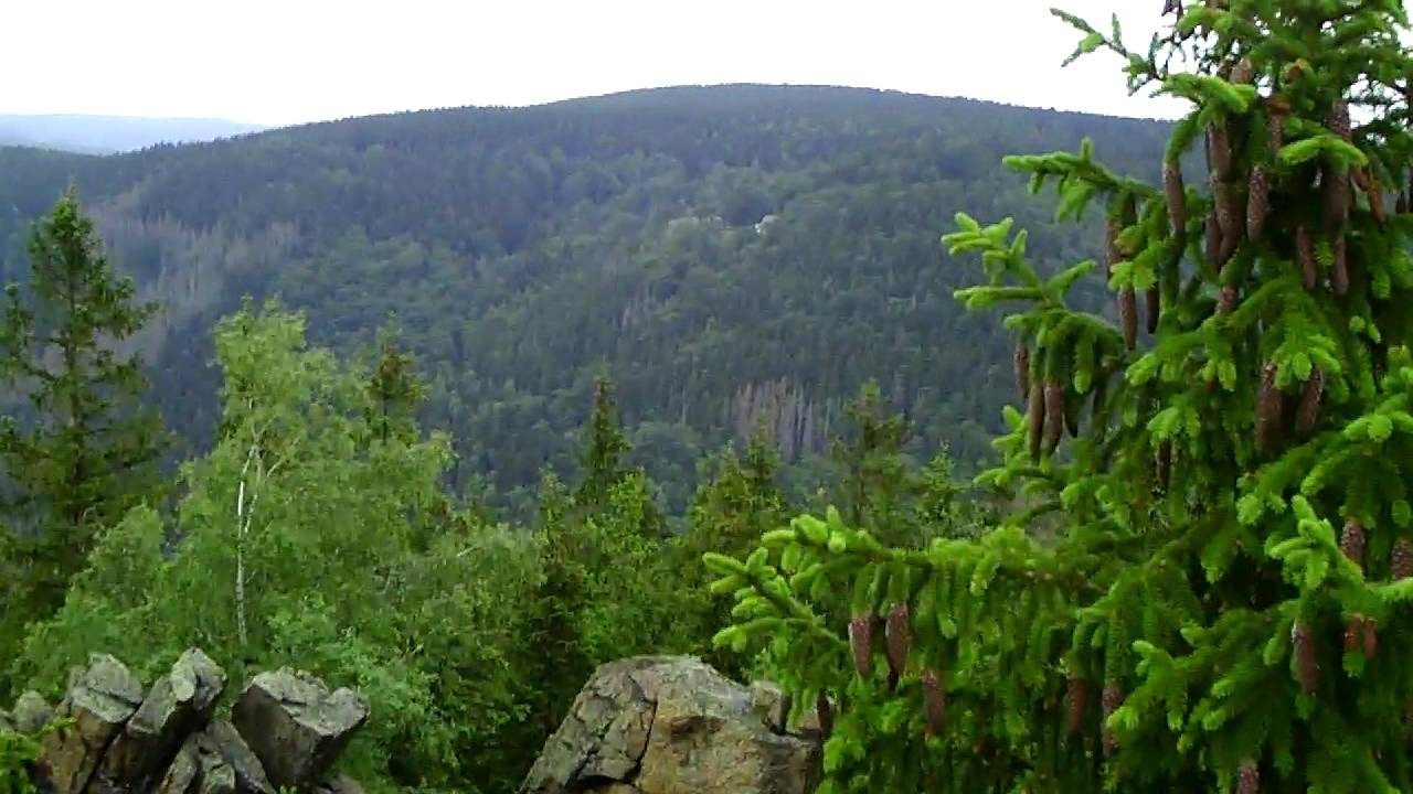 Stempelstelle 4 Taubenklippe - Harzer Wandernadel