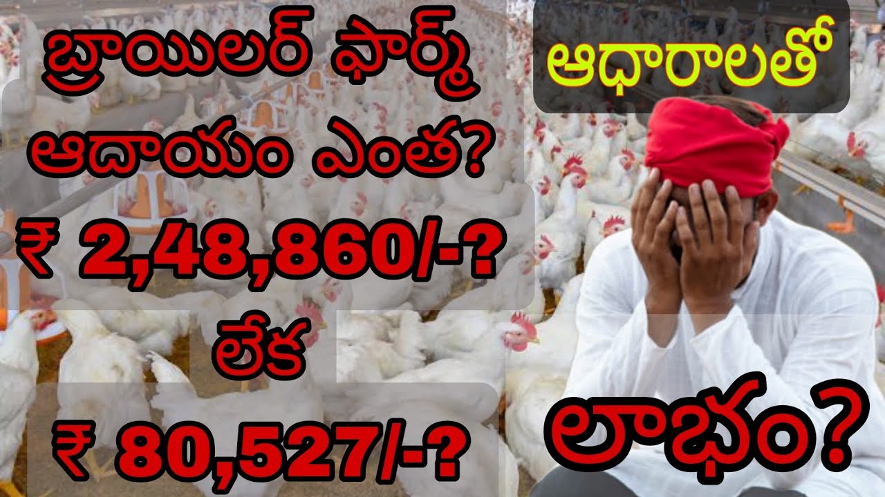 E-3: ఆధారాలతో బ్రాయిలర్ ఫార్మ్ ఆదాయం || Broiler Farm Income with proofs.