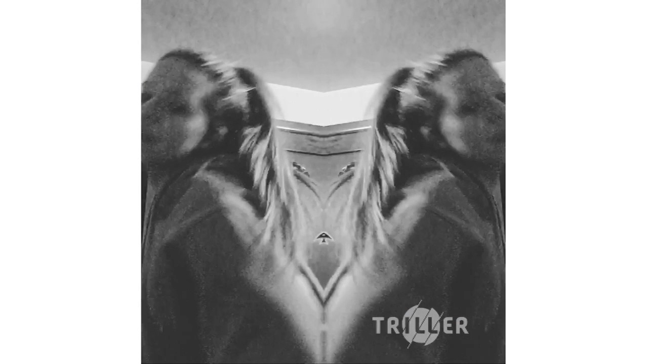 Blas&eacute; (feat. Future & Rae Sremmurd) - Ty Dolla $ign - Triller